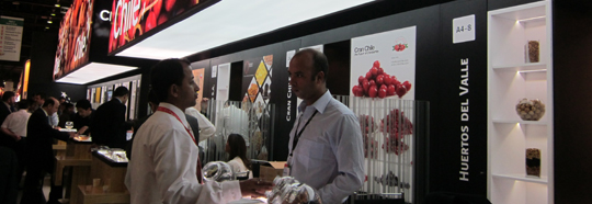 expo